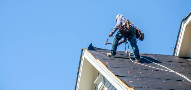 Best Roof Gutter Cleaning  in Sappington, MO